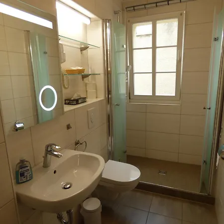 & Fleischerei Endler 게스트하우스 라인스베르크