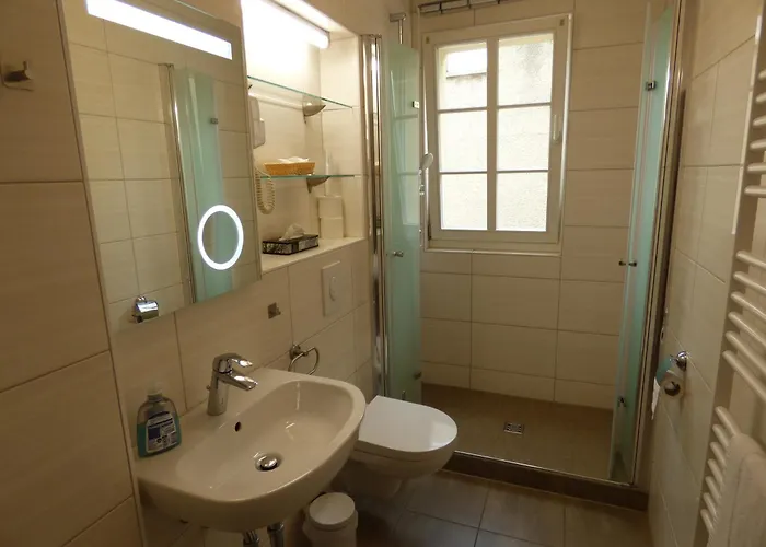 & Fleischerei Endler בית הארחה ריינסברג