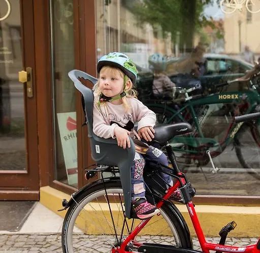 בית הארחה & Fleischerei Endler ריינסברג